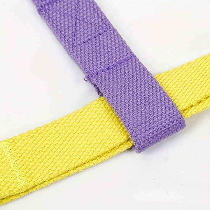 Rainbow Colorblock Pet Harness And Leash Set: The Perfect Blend of Style and Safety for Your Furry Friend